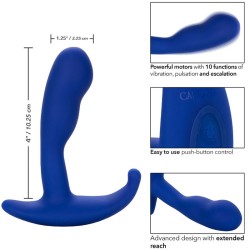 CALEXOTICS - ADMIRAL CURVED ESTIMULADOR  VIBRADOR ANAL AZUL