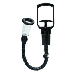 CALEXOTICS - BOUNDLESS BODY...