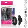 CALEXOTICS - PANTY TEASER BALA CON PULSERA DE CONTROL