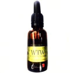 TENTACION - SYNTHETIC...