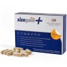 SizeGain Plus  Complemento alimenticio para aumentar el tamaño del pene y mejorar la potencia sexual