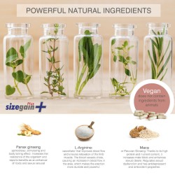 SizeGain Plus  Complemento alimenticio para aumentar el tamaño del pene y mejorar la potencia sexual