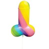 PRIDE - SPENCER  FLEETWOOD RAINBOW COCK LGBT LOLLIPOP