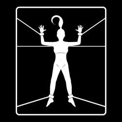 FETISH SUBMISSIVE - SET OF HANDCUFFS AND TIES WITH NOPRENE LINING