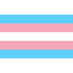 PRIDE - BANDERA 90 X 150 TRANSEXUAL