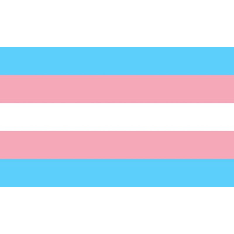 PRIDE - BANDERA 90 X 150 TRANSEXUAL