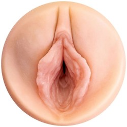 PDX PLUS - STROKER...