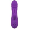CALEXOTICS - MANHATTAN BEACH MARVEL VIBRATOR RABBIT PURPLE BY CALIFORNIA DREAMING