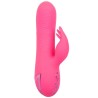 CALEXOTICS - SACRAMENTO SWEETIE VIBRADOR RABBIT ROSA BY CALIFORNIA DREAMING