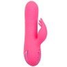 CALEXOTICS - SACRAMENTO SWEETIE VIBRATOR RABBIT PINK BY CALIFORNIA DREAMING