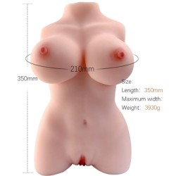 ARMONY - TORSO FEMENINO...