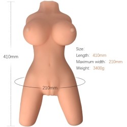 ARMONY - TORSO FEMENINO...