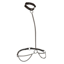 CALEXOTICS - EUPHORIA CHAIN...