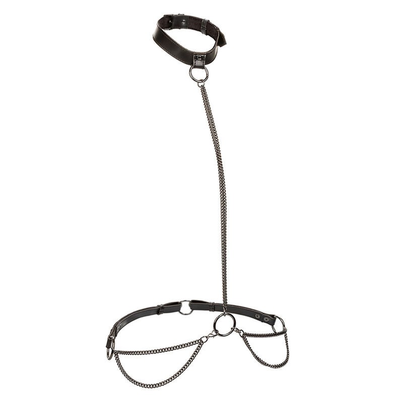CALEXOTICS - EUPHORIA CHAIN HALTER COLLAR  LEASH