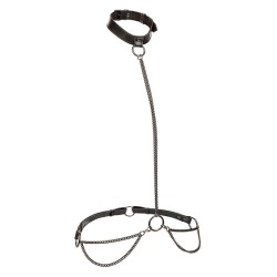 CALEXOTICS - EUPHORIA CHAIN...