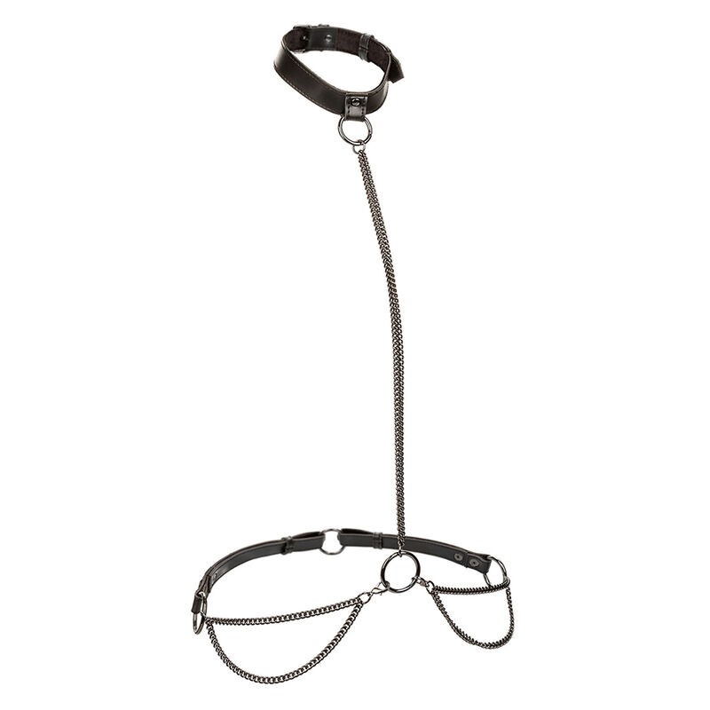 CALEXOTICS - EUPHORIA CHAIN HALTER COLLAR  LEASH PLUS SIZE
