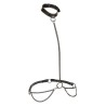 CALEXOTICS - EUPHORIA CHAIN HALTER COLLAR  LEASH PLUS SIZE