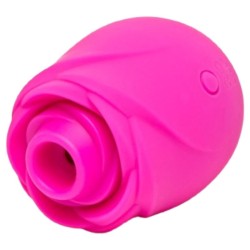 ROMP - ROSE PINK-SHAPED...