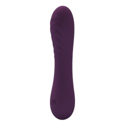 PRETTY LOVE - ALEXISROSE RECHARGEABLE VIBRATOR 10 FUNCTIONS PURPLE