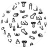 DIABLO PICANTE - ROUND PENIS COASTERS 10 UNITS