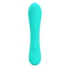 PRETTY LOVE - PRESCOTT RECHARGEABLE VIBRATOR AQUA GREEN